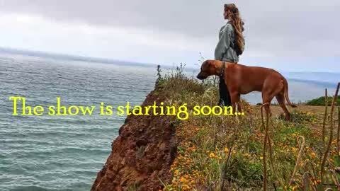 TATUM  ALL MY LINKS  online show from November 19, 11:05 pm