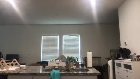 Daphne Summers online show from May 22, 2:59 pm