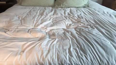 Maya Hill online show from April 13, 3:35 pm