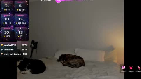 Snapshot of theselina_kyle chatting on January 25, 4:13 am Selina Kyle online show from January 25, 4:13 am