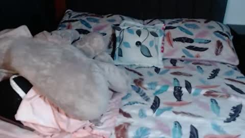 tyra_stone1 online show from October 18, 9:05 pm