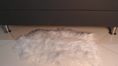 valery carter01 online show from May 24, 3:38 am