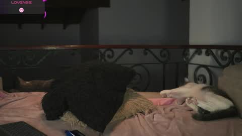 Valeria online show from May 16, 1:52 am