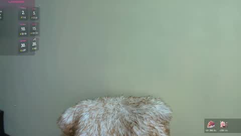 Taty independent account online show from December 17, 10:14 pm