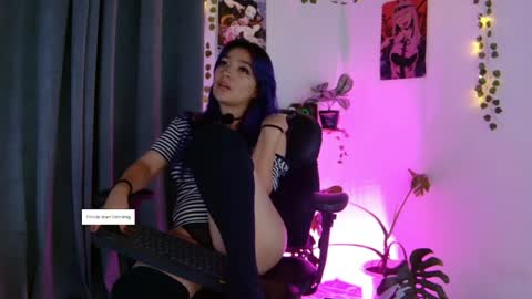 Vayolett online show from April 7, 4:25 am