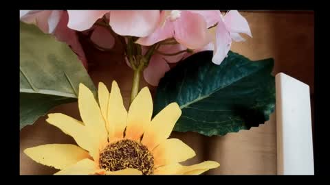 vickyvalencia2 online show from May 4, 1:48 pm
