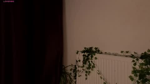 Vixi online show from April 3, 1:25 am