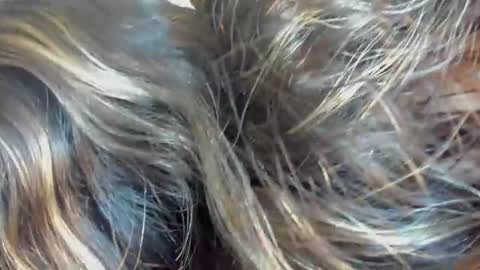 violethall2 online show from March 17, 4:22 pm