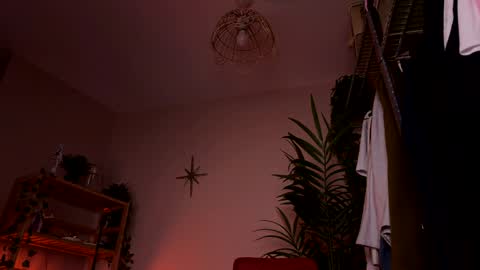 Polly  Online mostly at 9pm-2am UK Time online show from March 25, 6:55 pm