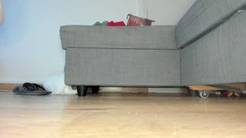 wet_pants2022 online show from June 25, 6:42 pm