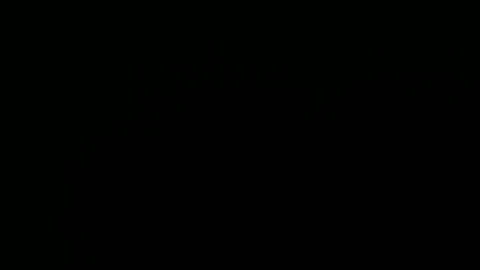 Annie online show from February 13, 2:23 am