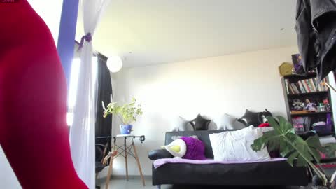     Luna Violeta  A r t i s t  online show from December 14, 12:23 pm