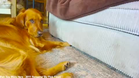Lily online show from May 18, 12:20 am