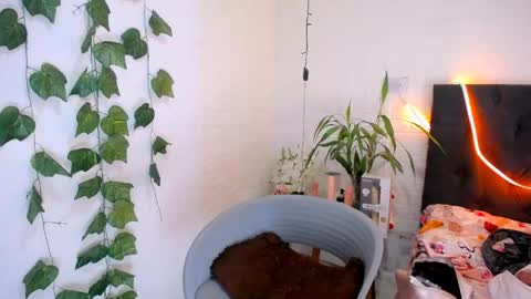 YEM online show from May 26, 4:39 pm