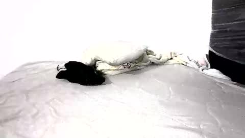 Yullicita online show from November 10, 3:12 am