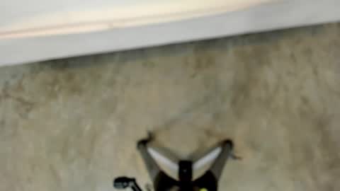 zara lopez online show from November 2, 12:52 pm