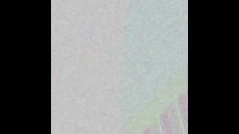 Zelda online show from January 14, 9:20 pm