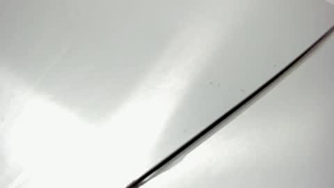 zia online show from February 20, 11:23 am