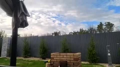 Zoey online show from October 5, 2:22 pm