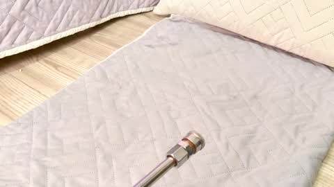 zoley  online show from March 29, 8:46 am