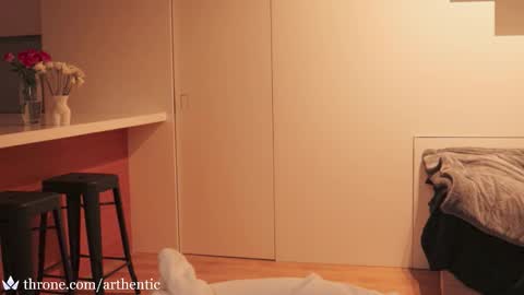  Birthday Stream - Dec 5 online show from January 17, 10:06 pm