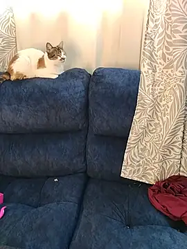 MrsFoucher online show from May 24, 8:52 pm