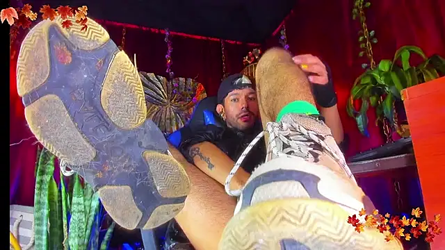 LatinMilk  online show from November 15, 4:46 am