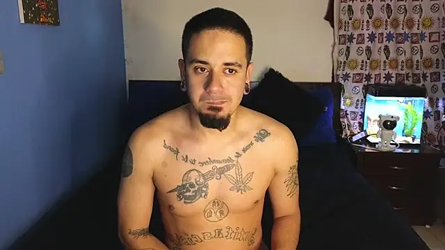 tony and sophia online show from October 22, 11:04 am