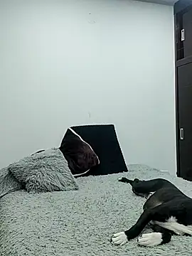 Mariam Gomezxxx online show from February 13, 12:34 am