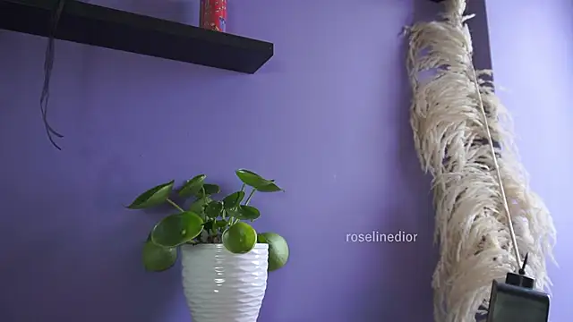 roselinedior online show from May 20, 4:26 pm