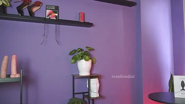 roselinedior online show from May 19, 2:46 pm