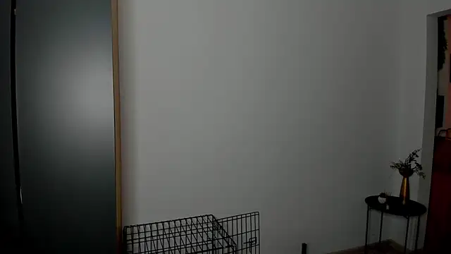 Patricia bloom online show from February 19, 10:15 am