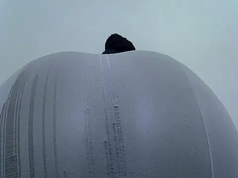 doctor deee online show from February 28, 4:06 pm