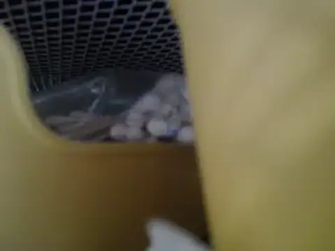 lovense test04 online show from April 27, 6:32 am