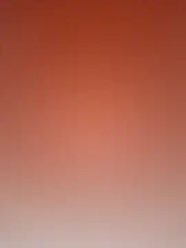 Priya Bong online show from February 3, 6:40 am