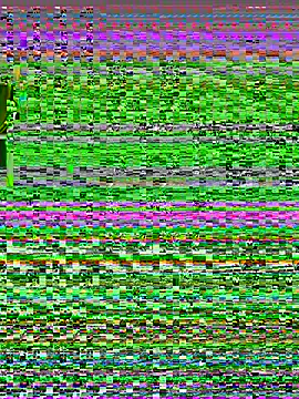 Allylove03 online show from December 2, 8:05 am