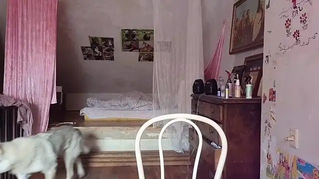 MAMA69LAMA online show from May 1, 1:03 pm