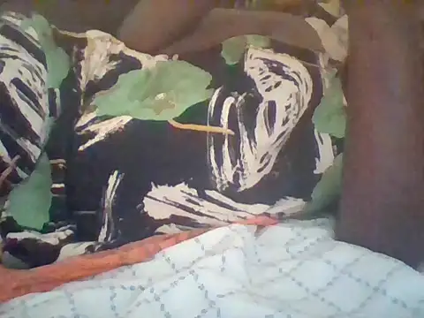 missarpie online show from December 17, 7:23 am