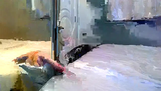 Yumiepussyy online show from January 10, 11:31 pm