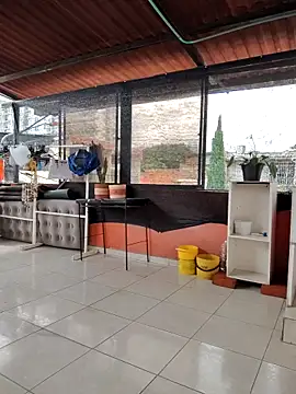 amaranta c online show from November 18, 3:46 pm