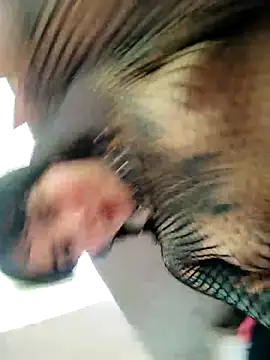 taaylor33 online show from November 9, 7:32 pm