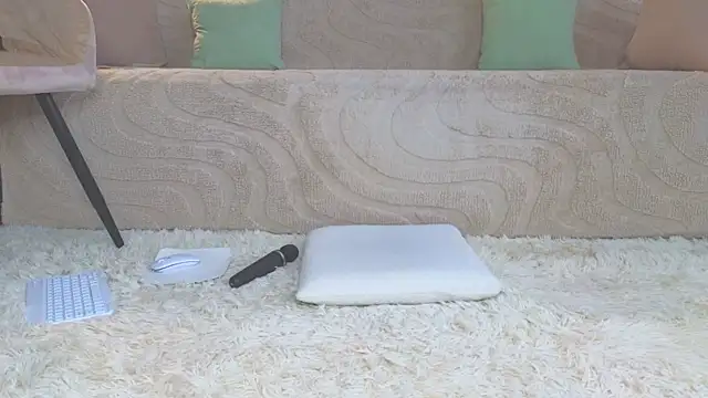 lisa art online show from May 20, 3:47 am