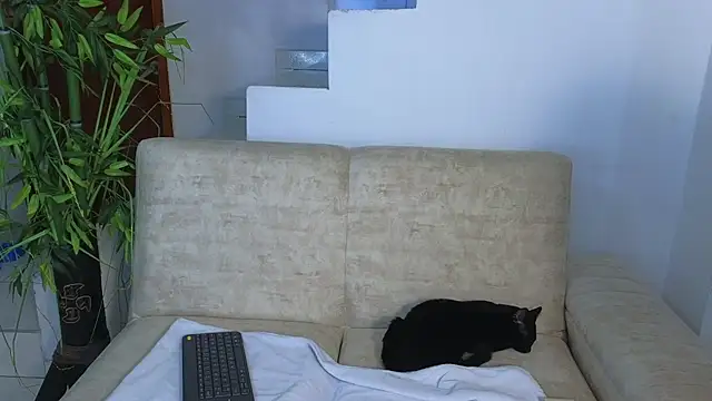 Snapshot of Lorenne_Miller chatting on September 13, 4:09 am Lorenne Miller online show from September 13, 4:09 am
