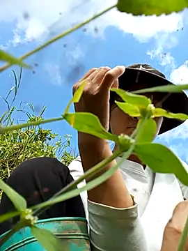 trieungoclnt online show from October 8, 8:51 am