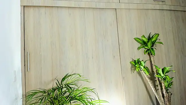 filletatouee online show from October 30, 4:04 am