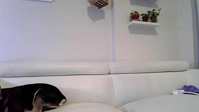 badblondebunny online show from January 17, 11:45 pm