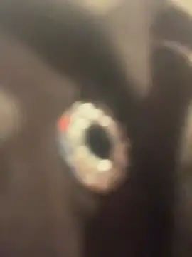 beautydiamond online show from February 18, 9:30 am