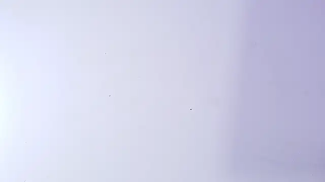 nicol f online show from March 5, 3:13 am