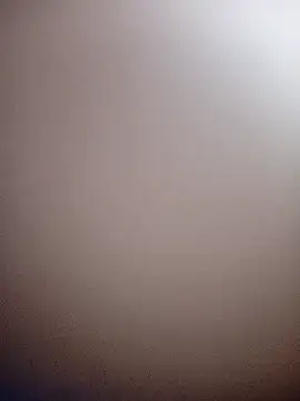 bustybillies online show from November 5, 2:33 pm