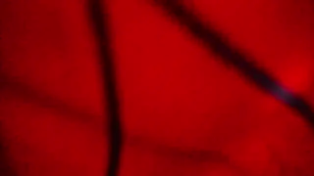 Nathaly love96 online show from February 20, 7:47 pm